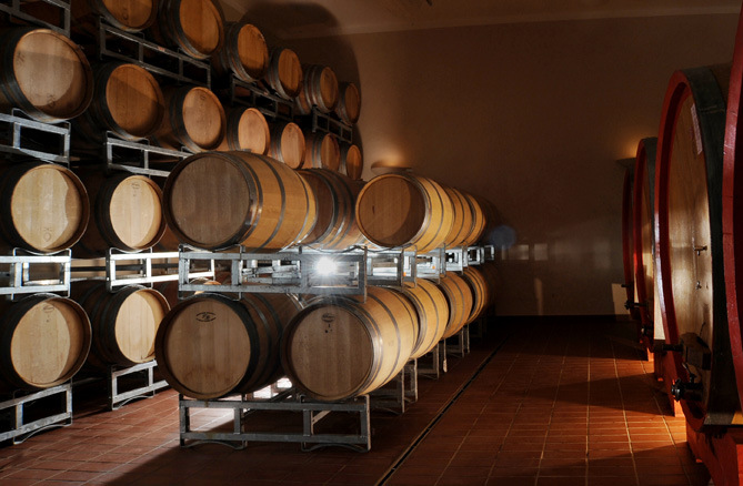Visit and winetasting in winery in Todi