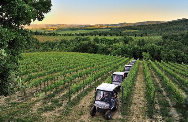 Ecotour in the vineyards by electric jeep and wine tasting