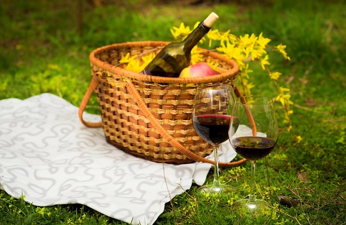 Picnic and hiking in vineyard