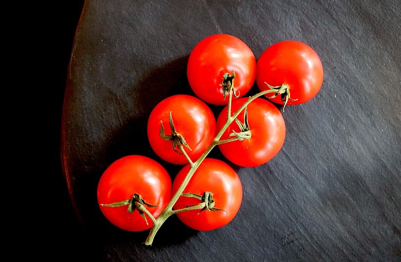 The Cesarino tomato