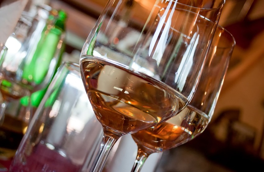 Organic Wine Tasting in Winery in Marsciano
